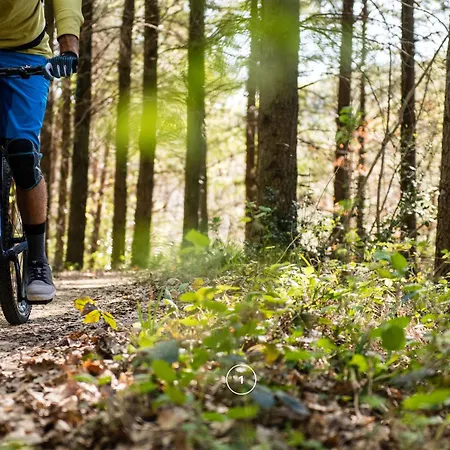 Waldklang - Refugio - Hund - Zaun - Smart *