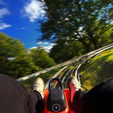 Waldklang - Refugio - Hund - Zaun - Smart *