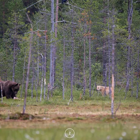 Waldklang - Refugio - Hund - Zaun - Smart Lägenhet *