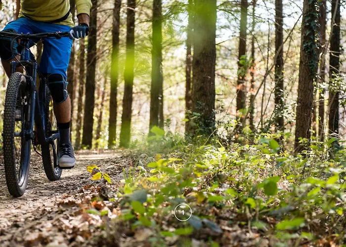 Waldklang - Refugio - Hund - Zaun - Smart *