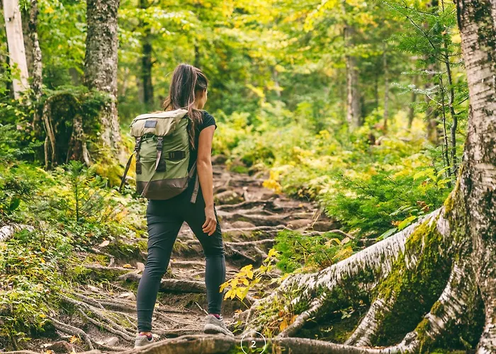 Waldklang - Refugio - Hund - Zaun - Smart Apartment Alpirsbach