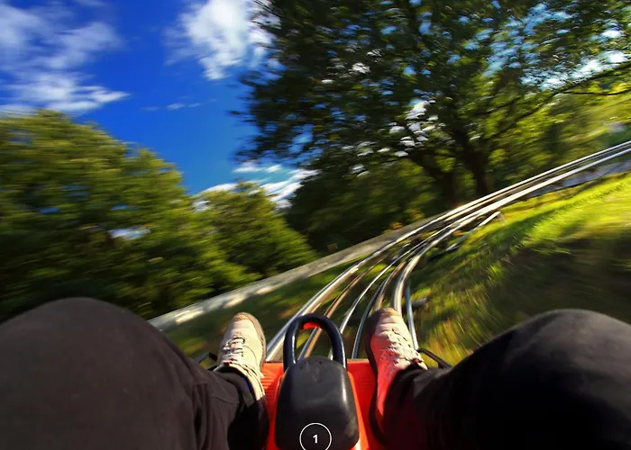 Waldklang - Refugio - Hund - Zaun - Smart *