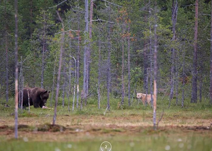Waldklang - Refugio - Hund - Zaun - Smart Apartment *